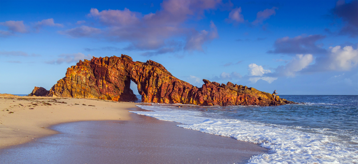 Rota das Emoes: Belezas naturais do Nordeste brasileiro